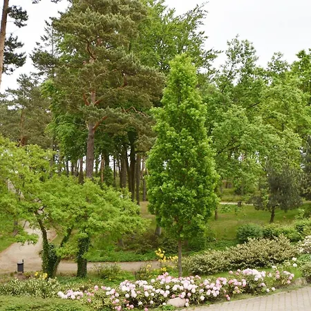 In Ostseebad By Interhome *
